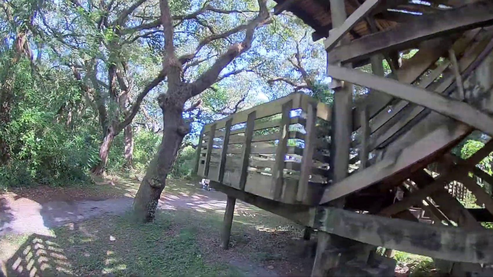 Emerging along the walkway rail